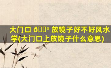 大门口 💮 放镜子好不好风水学(大门口上放镜子什么意思)